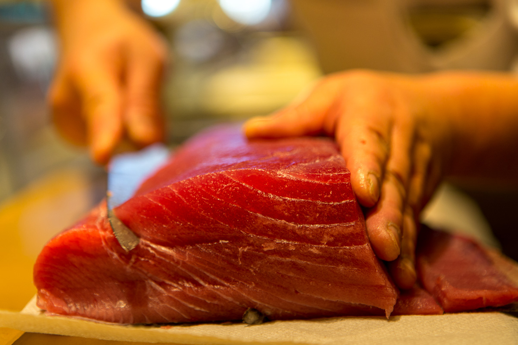 Tuna 1800
