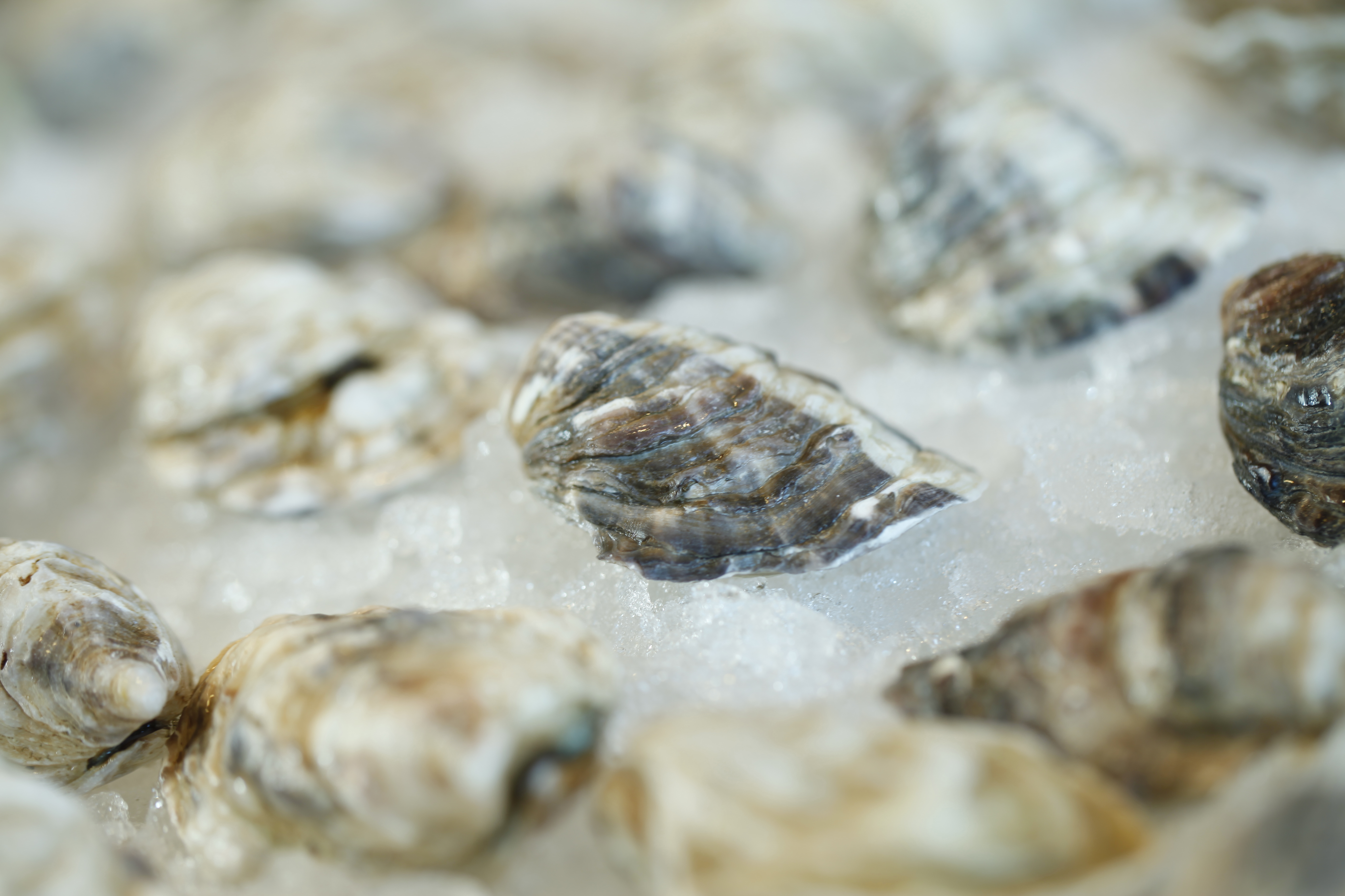 OTOTO Food and Wine Bar menu items